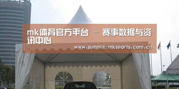 案例标题八