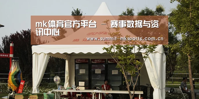 案例标题五