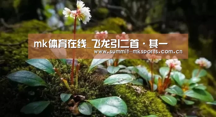 mk体育在线_飞龙引二首·其一