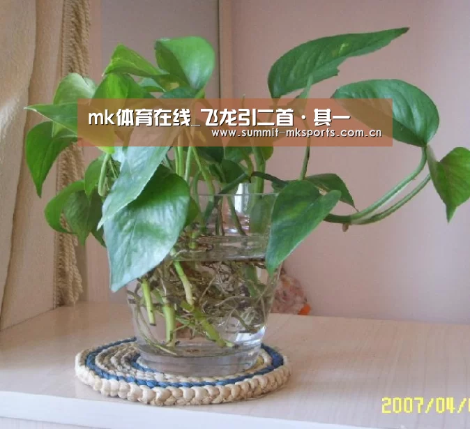 mk体育下载