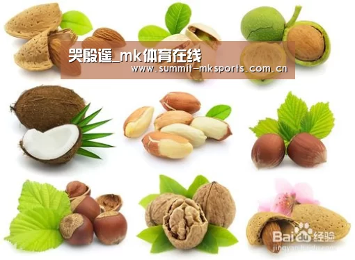 mk体育在线