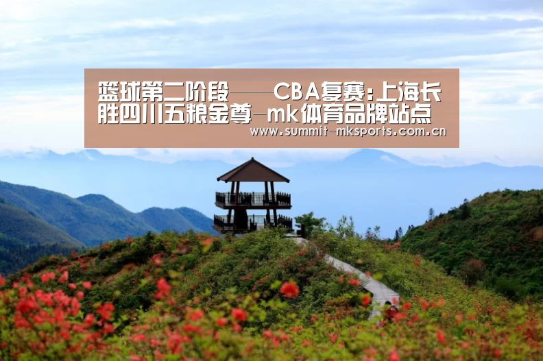 mk体育品牌站点