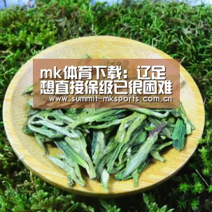 mk体育app