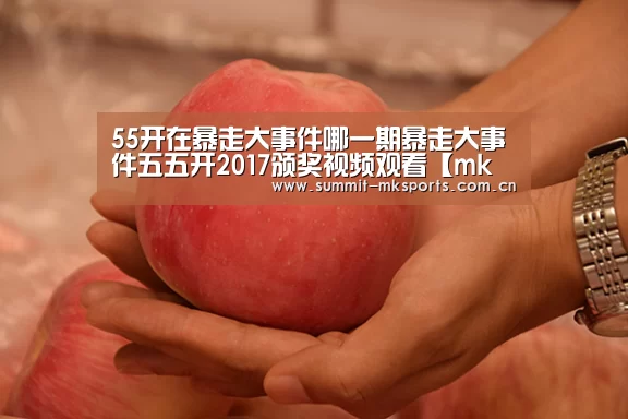 mk体育品牌站点