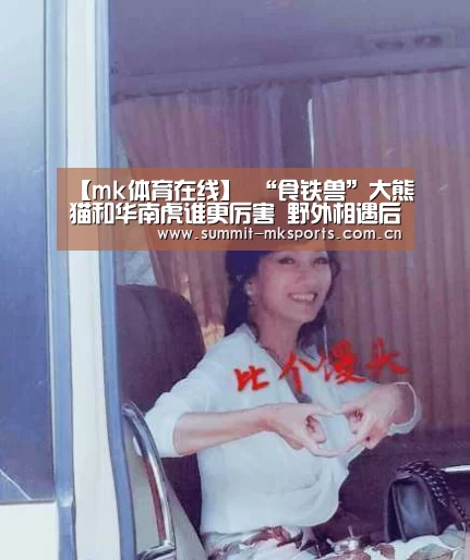 mk体育在线