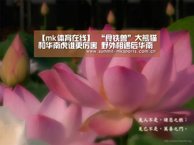 【mk体育在线】
“食铁兽”大熊猫和华南虎谁更厉害 野外相遇后华南虎会吃它吗?