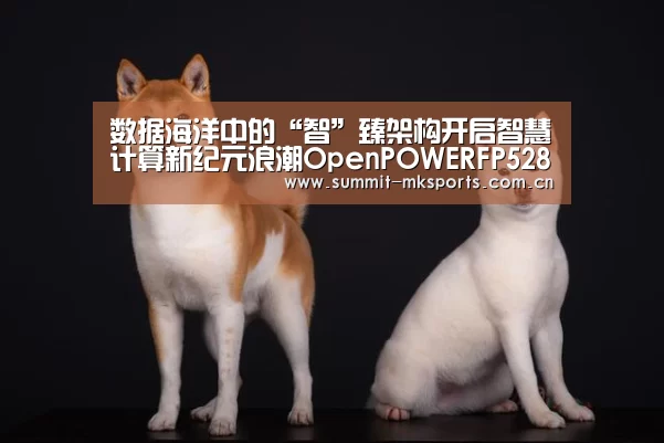 数据海洋中的“智”臻架构开启智慧计算新纪元浪潮OpenPOWERFP5280G2服务器全面上市‘mk体育下载’