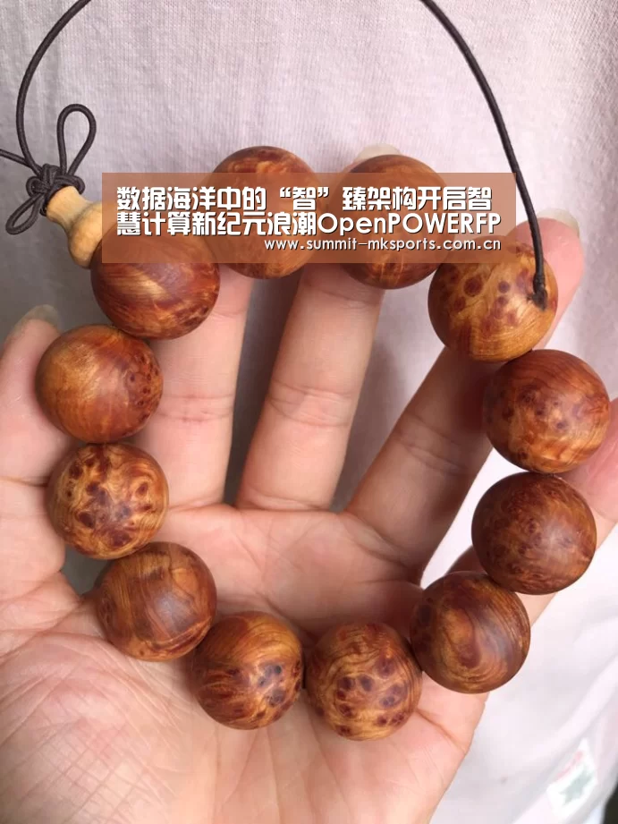 数据海洋中的“智”臻架构开启智慧计算新纪元浪潮OpenPOWERFP5280G2服务器全面上市‘mk体育下载’(图3) mk体育在线