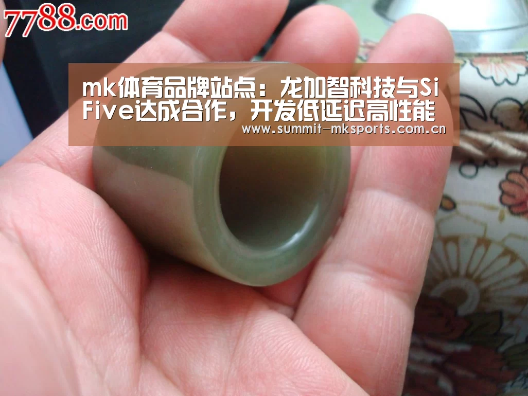 mk体育品牌站点:龙加智科技与SiFive达成合作,开发低延迟高性能AI处理器平台(图3) mk体育品牌站点