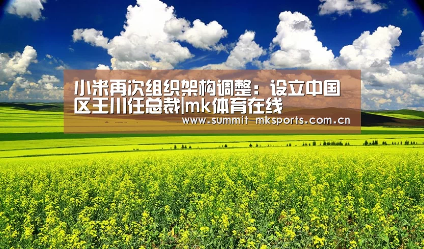 小米再次组织架构调整:设立中国区王川任总裁|mk体育在线(图3) mk体育下载